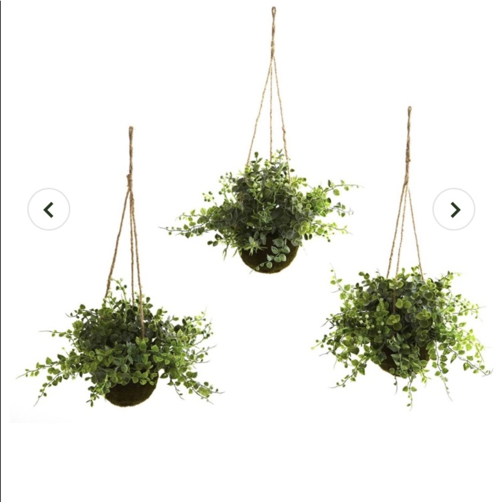 Faux Hanging Plants 🌿